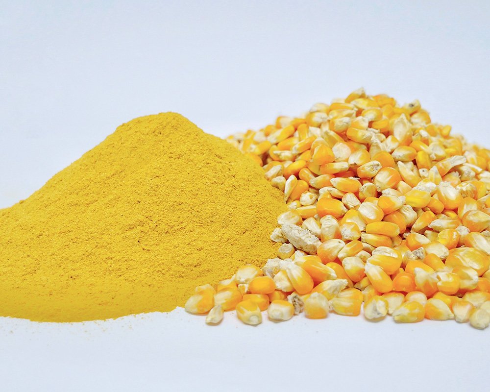 Corn Gluten Meal Powder supplier Corn Gluten Meal Powder supplier